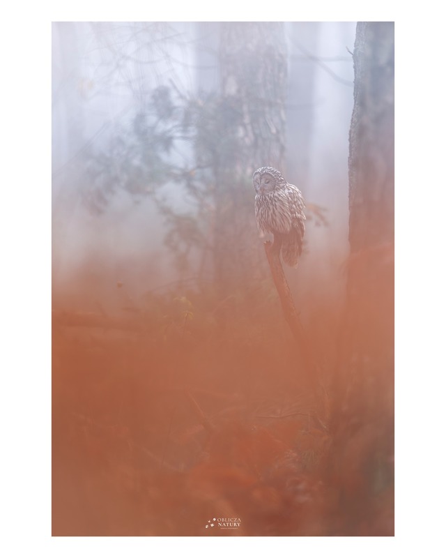 579375740_834813518906789_2220979550880270977_n