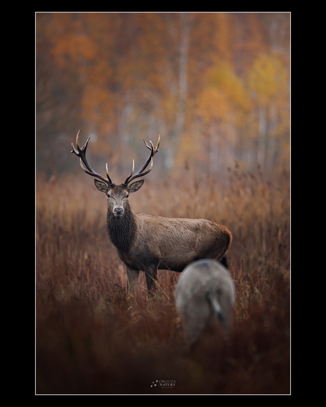 581092180_835517245503083_2589255812714592009_n